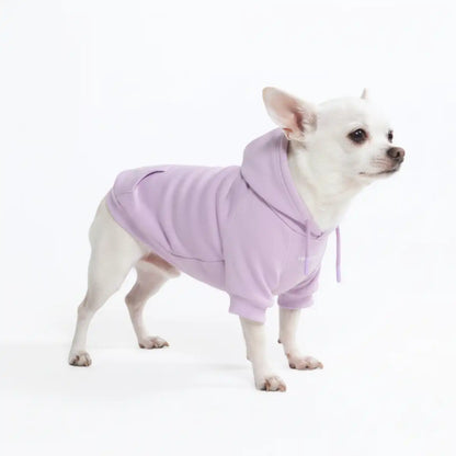 Essential Dog Hoodies