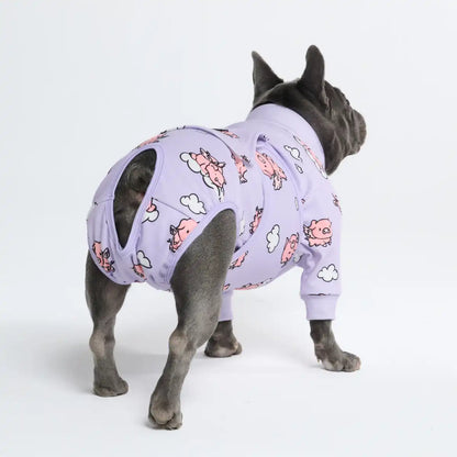 Dog Surgical Suit