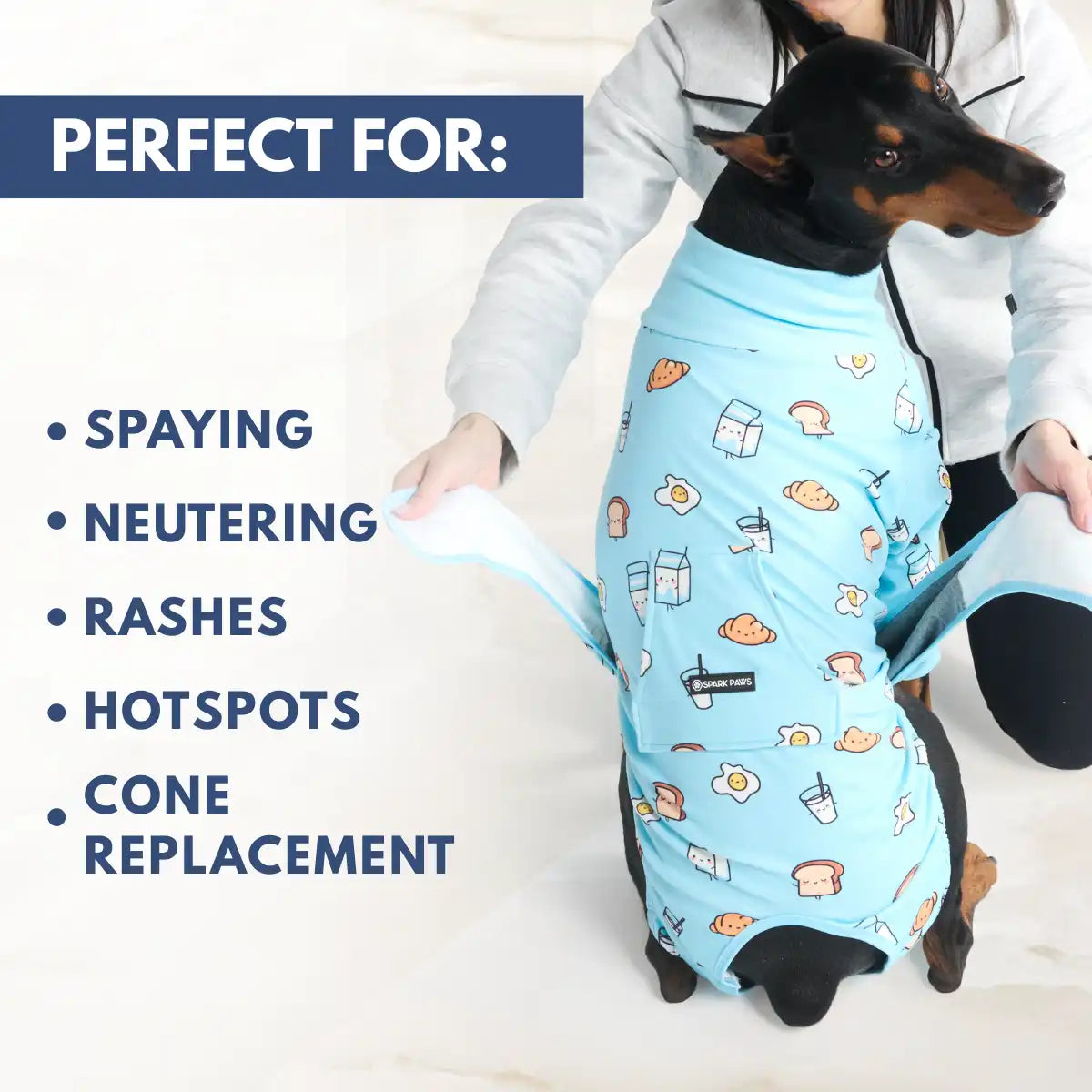 Dog Surgical Suit  2-pack