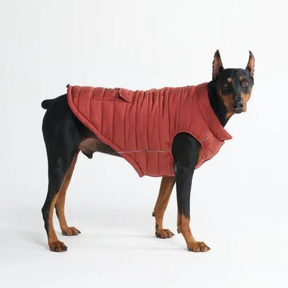 WarmShield Water-Resistant Jackets