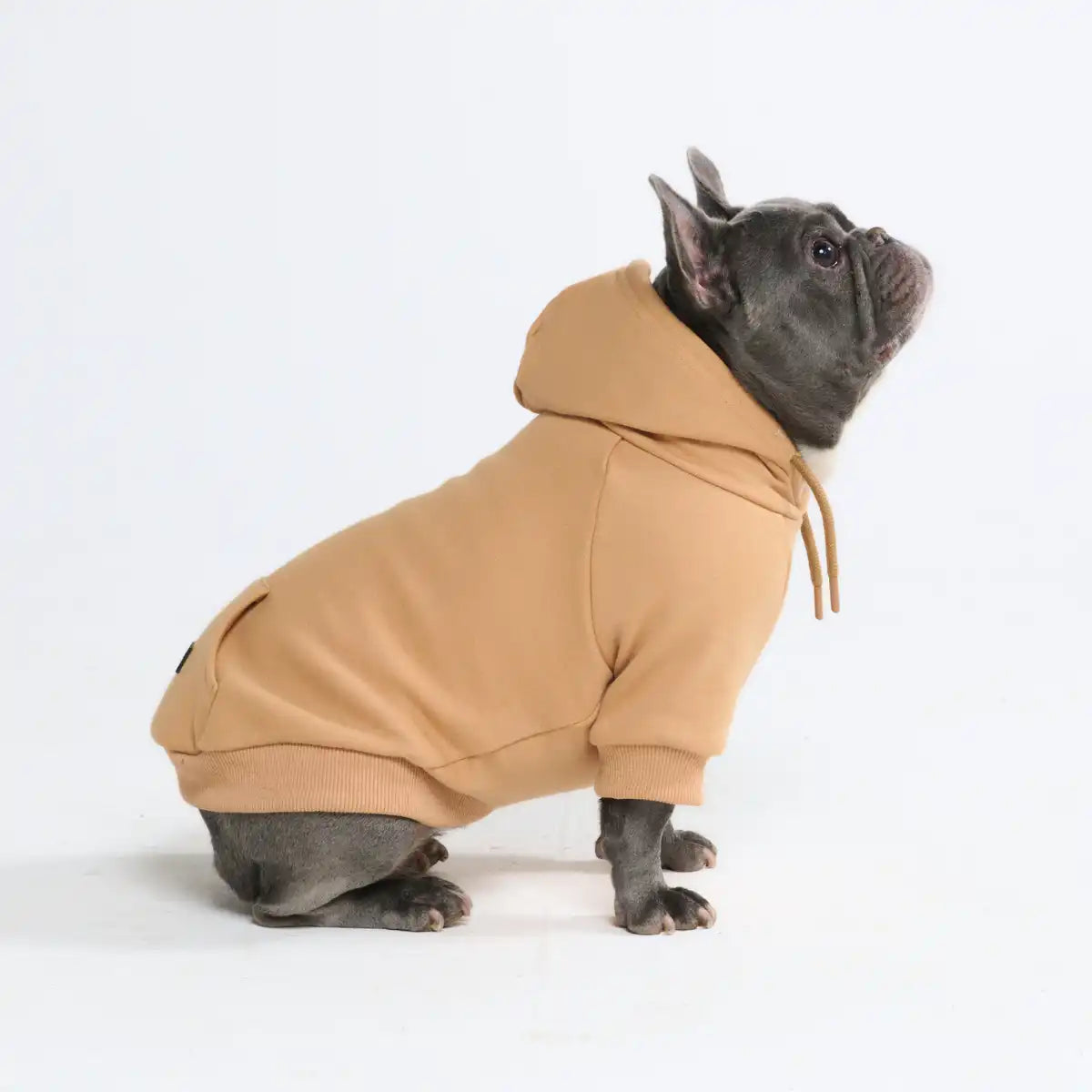Essential Dog Hoodies