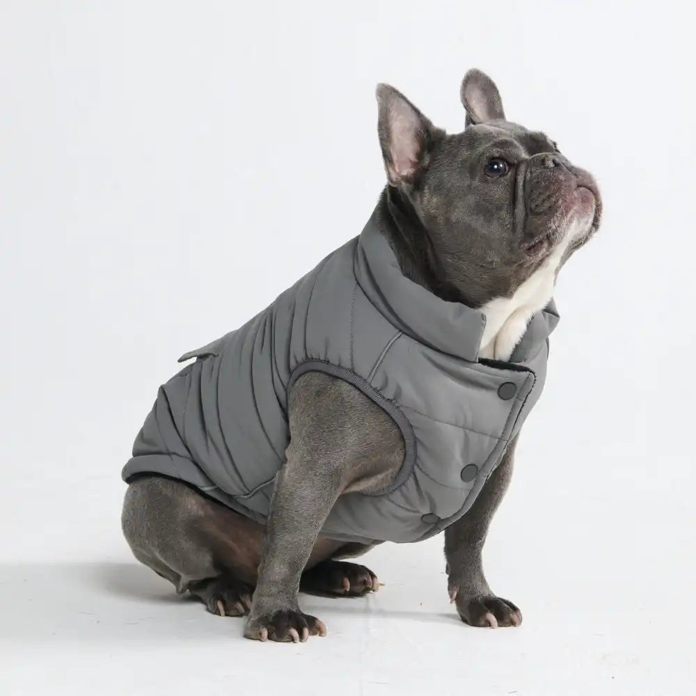 WarmShield Water-Resistant Jacket - Grey