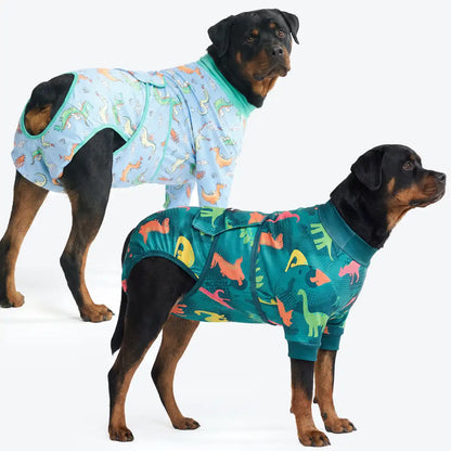 Dog Surgical Suit  2-pack