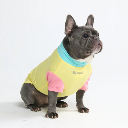 Sunblock Dog T-Shirt - Yuzu
