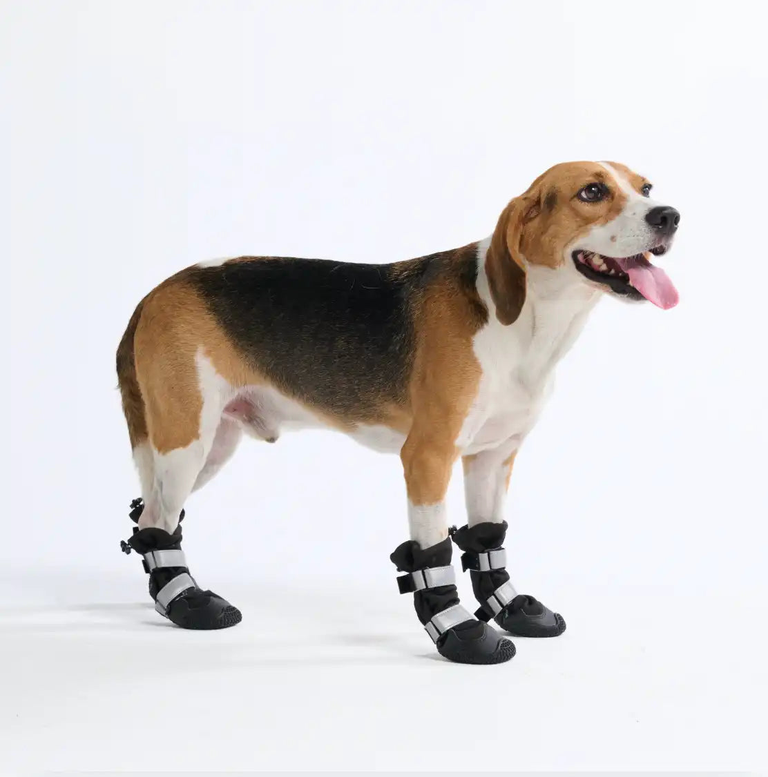 Dog Rainboots, Waterproof Dog Shoes - Black