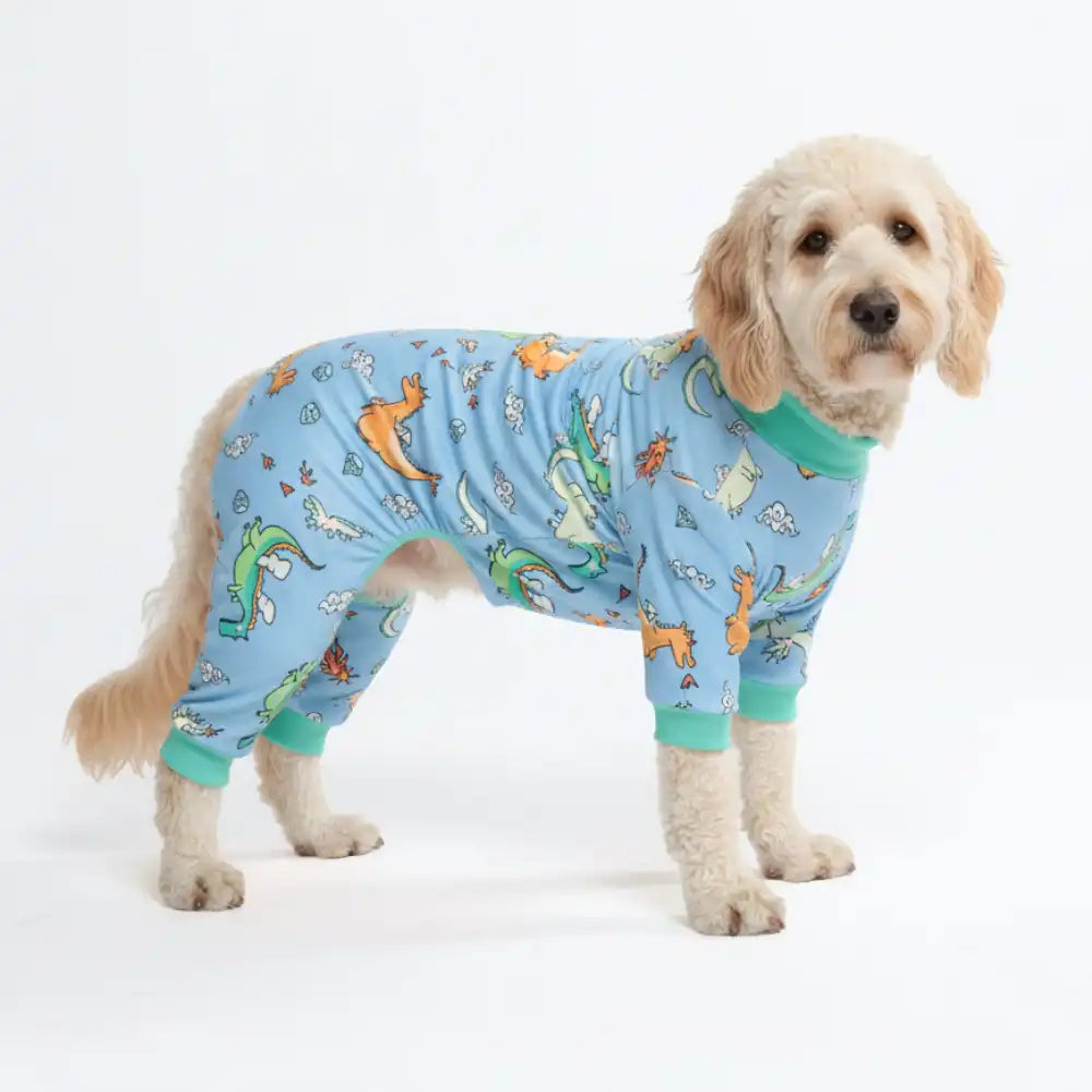 Dog Pajama - Dragons