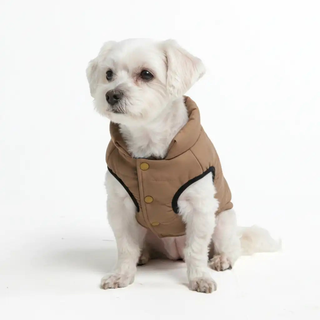 WarmShield Water-Resistant Jackets