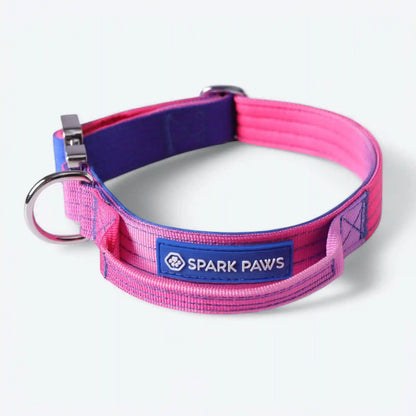 Comfort Control Dog Collars
