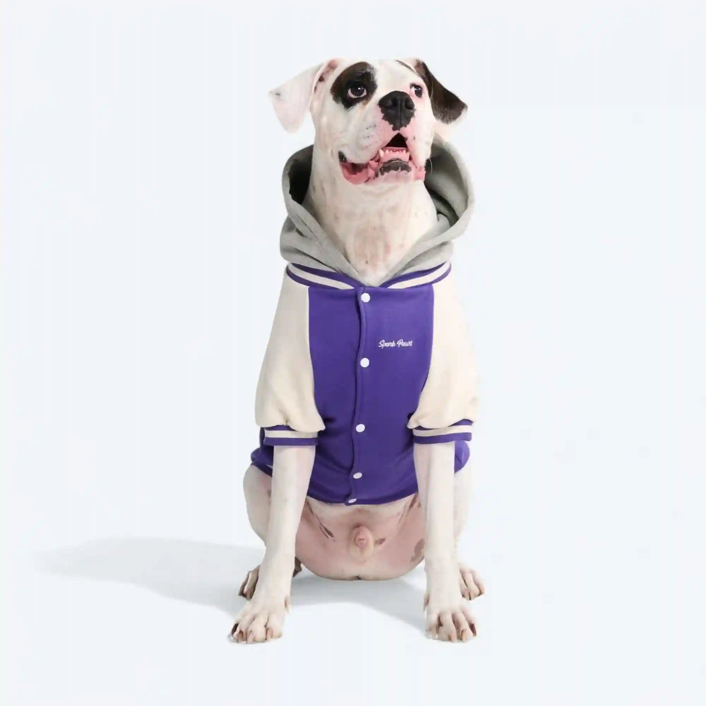 Dog Varsity Jackets