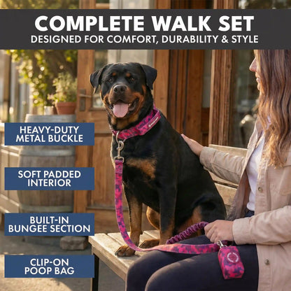 Comfort Control Collar and Multipurpose Leash Sets