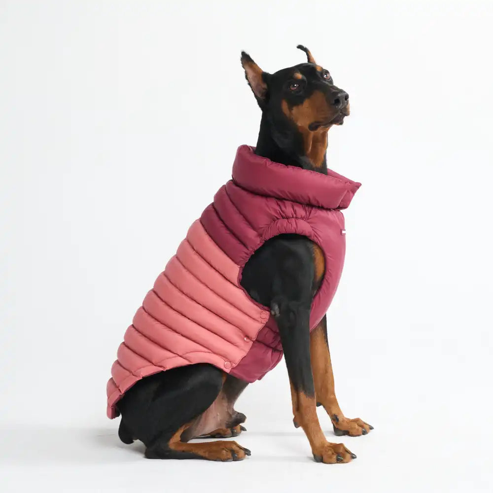 PuffShield Winter Jackets
