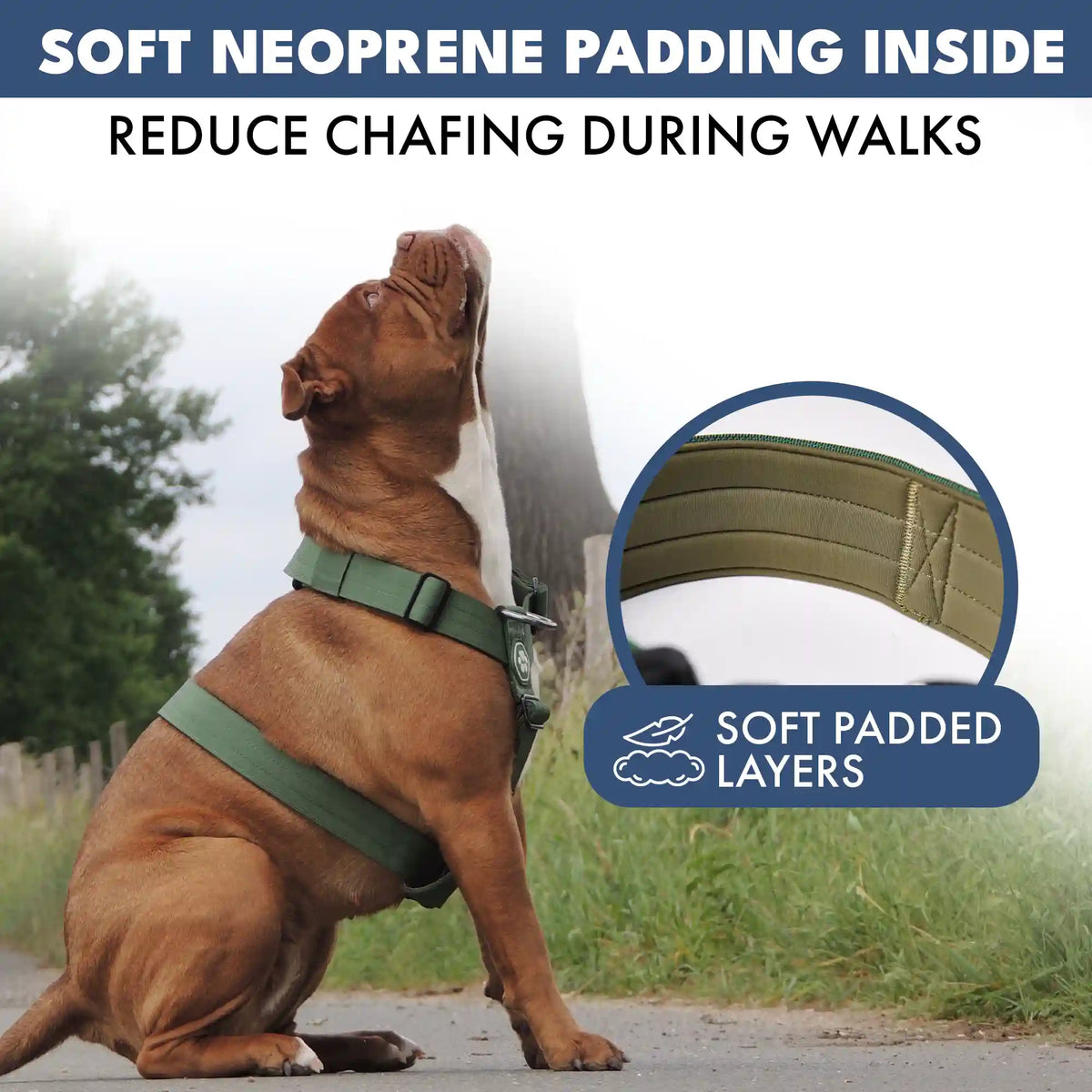 Comfort Control No-Pull Dog Harness Set - Army Green