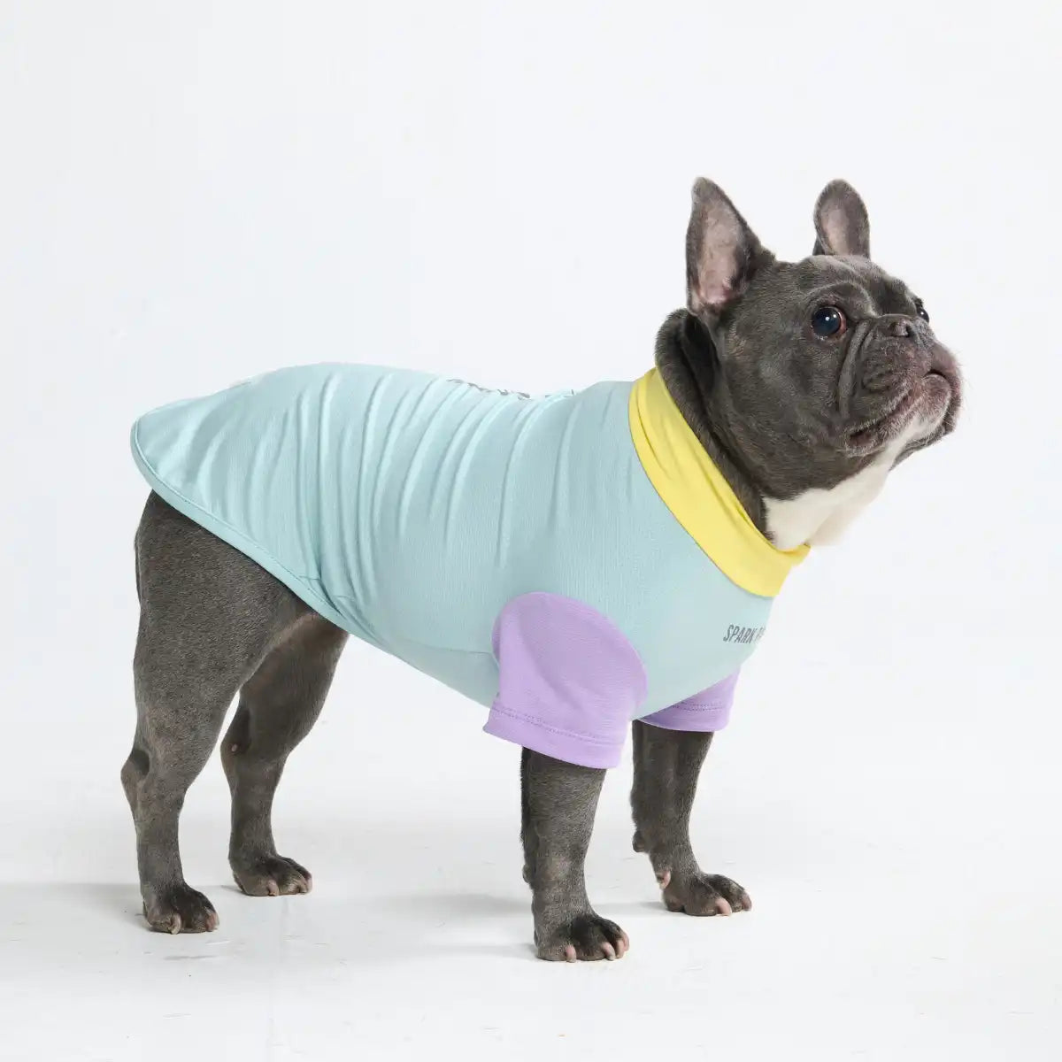 Sunblock Dog T-Shirt - Breeze