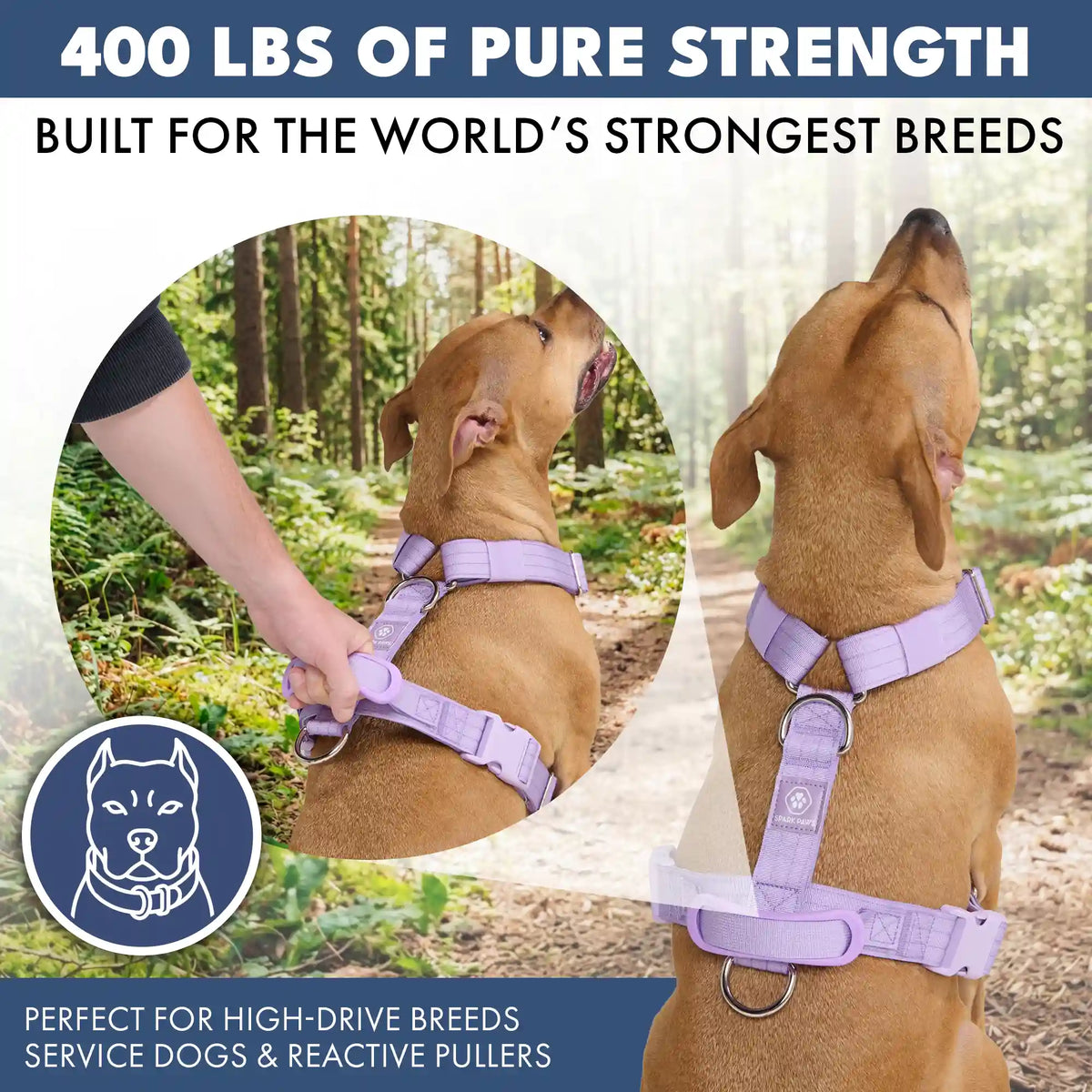 Comfort Control No-Pull Dog Harnesses