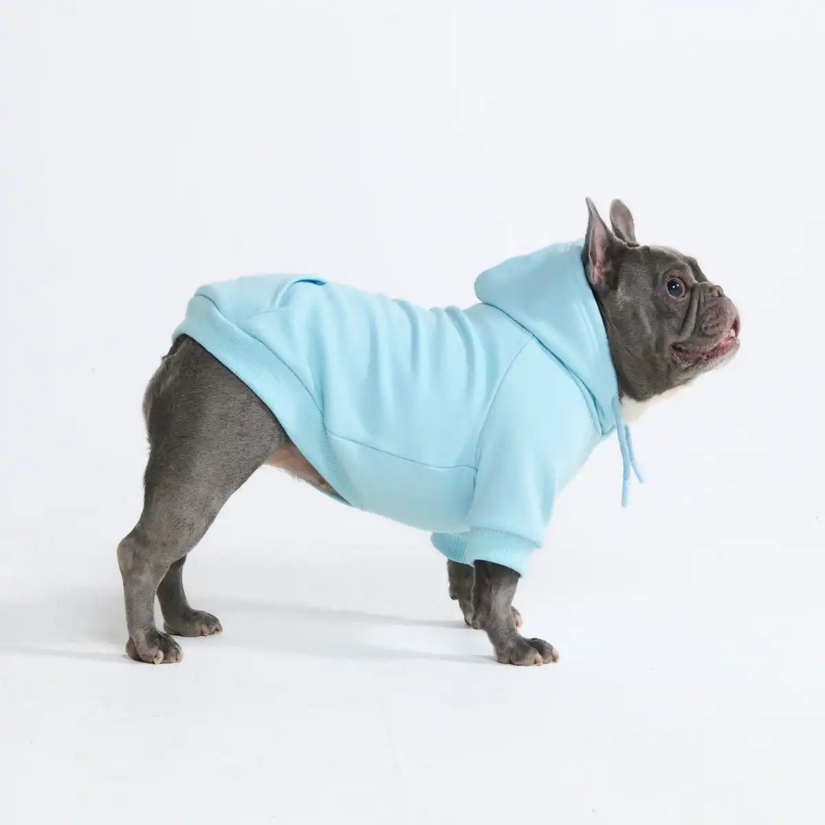 Essential Dog Hoodies
