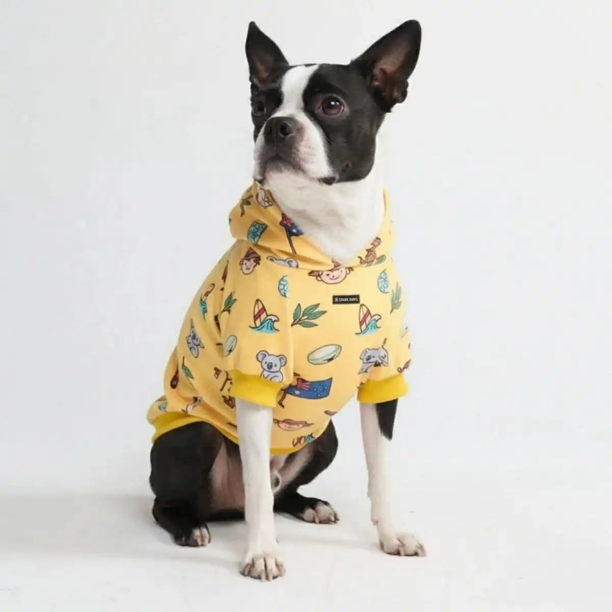 Around the World Dog Hoodies