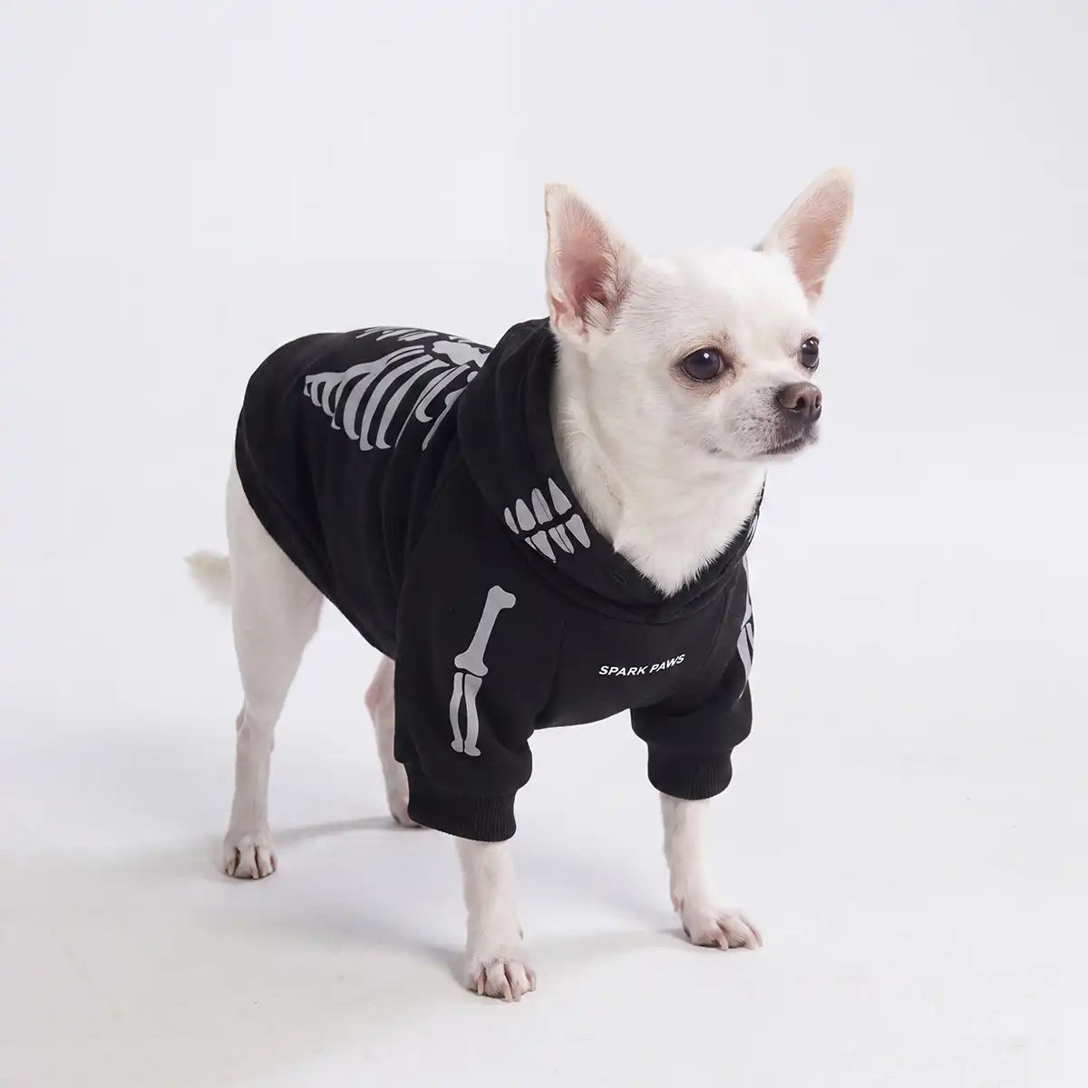 Halloween Dog Hoodie - Reflective Skeleton (2)