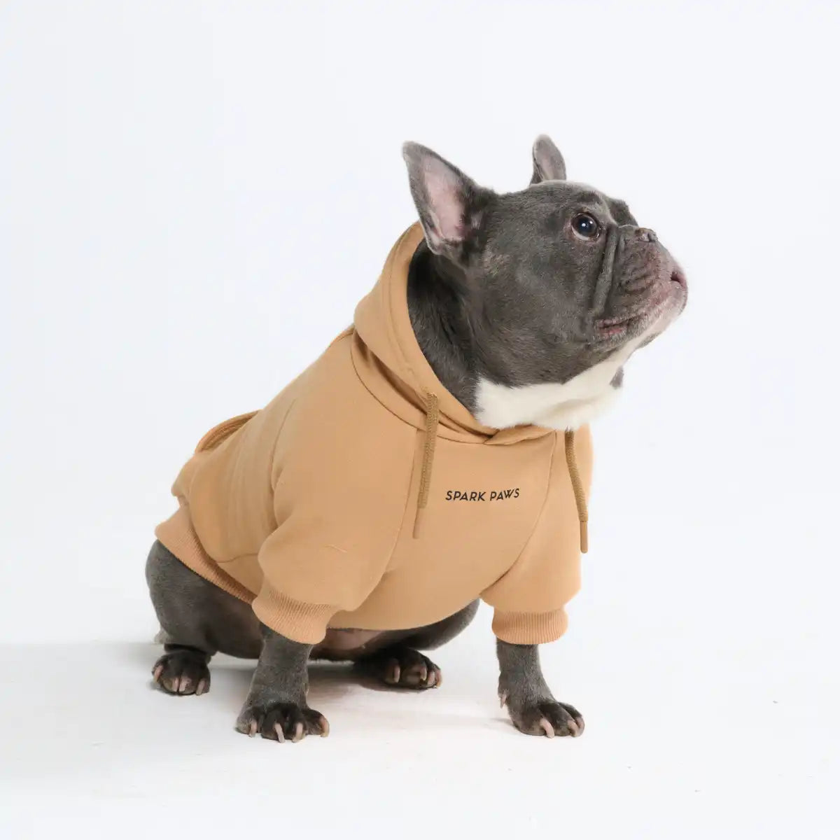 Essential Dog Hoodies