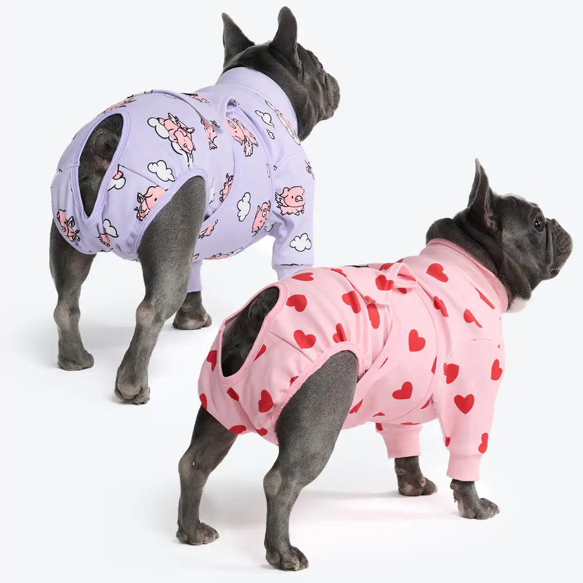 Dog Surgical Suit  2-pack