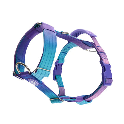 Comfort Control No-Pull Dog Harness - 90s Retro