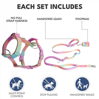 Comfort Control No-Pull Dog Harness and Multipurpose Leash Sets