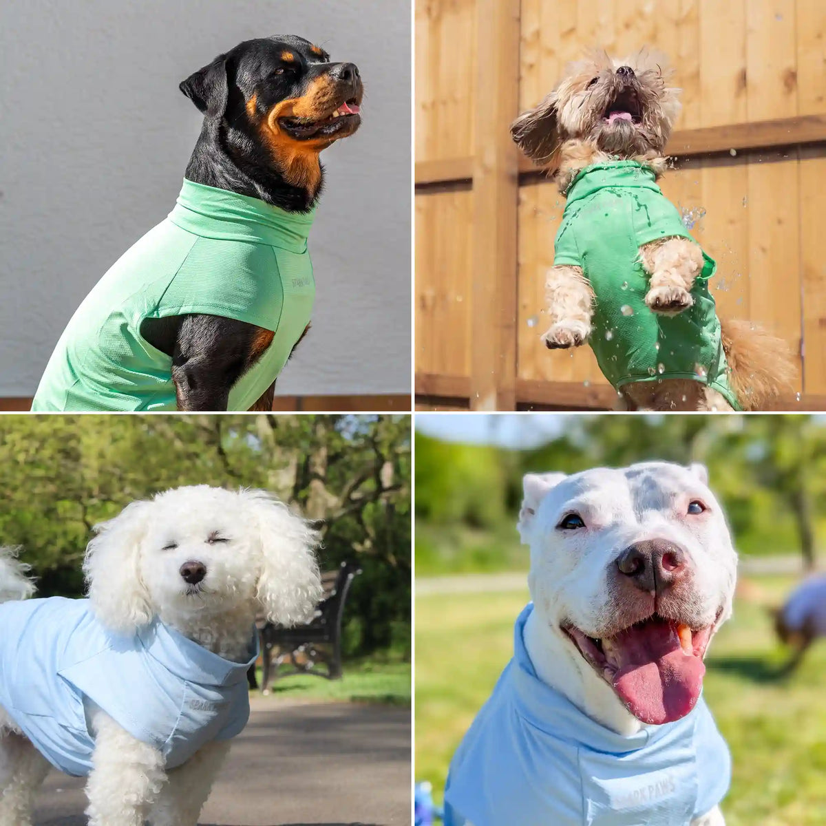 Sunblock Dog T-Shirt 2-pack