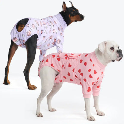 Dog Surgical Suit  2-pack