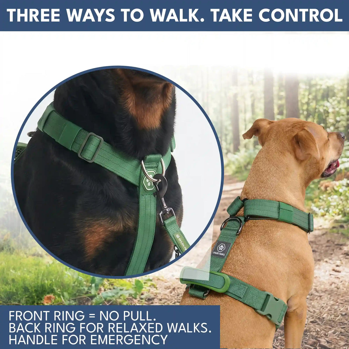 Comfort Control No-Pull Dog Harness and Multipurpose Leash Set - Green