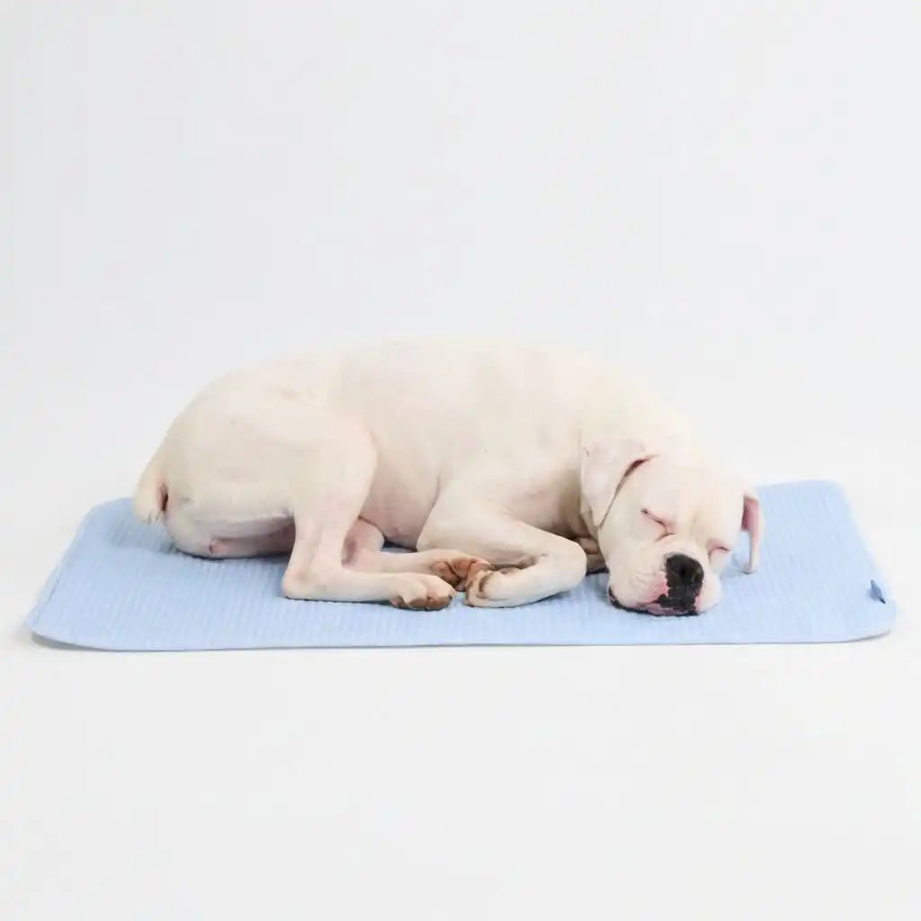 Frostcore™ Cooling Mat - Waffle Blue