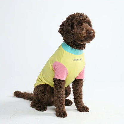 Sunblock Dog T-Shirt - Color Block