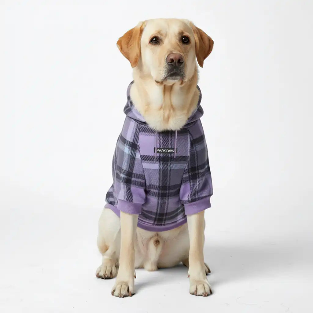 Plaid Dog Hoodies