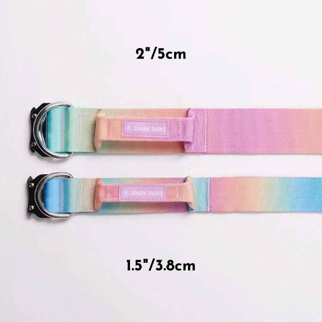 Comfort Control Dog Collars