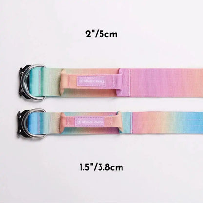 Comfort Control Dog Collars