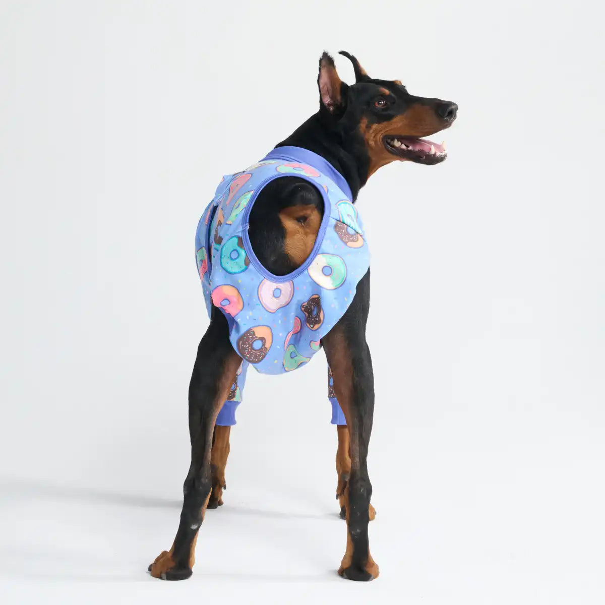 Dog Surgical Suit  2-pack