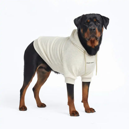 Essential Dog Hoodies