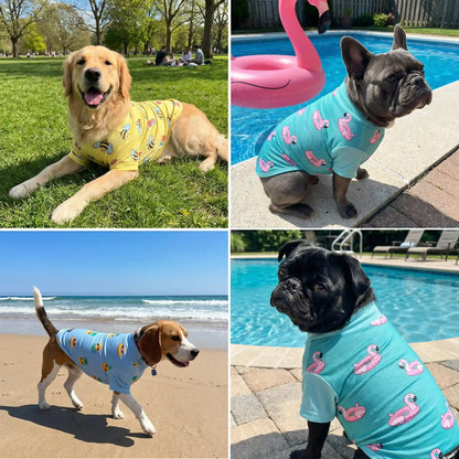 Sunblock T-Shirt 3 Pack