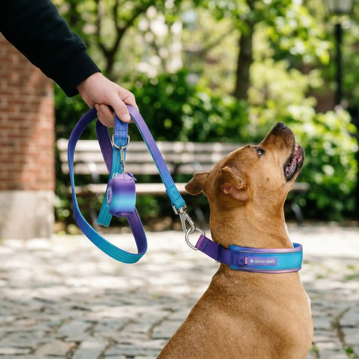 Martingale Collar Set - 90s Retro