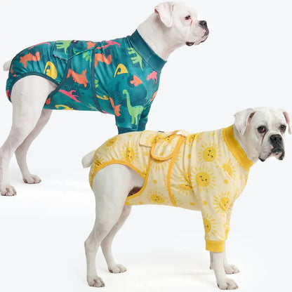 Dog Surgical Suit  2-pack
