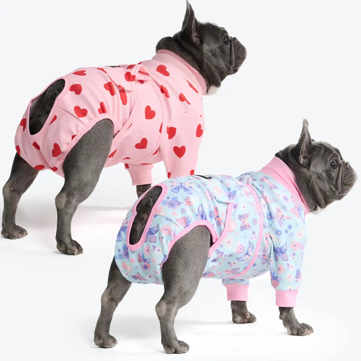 Dog Surgical Suit  2-pack