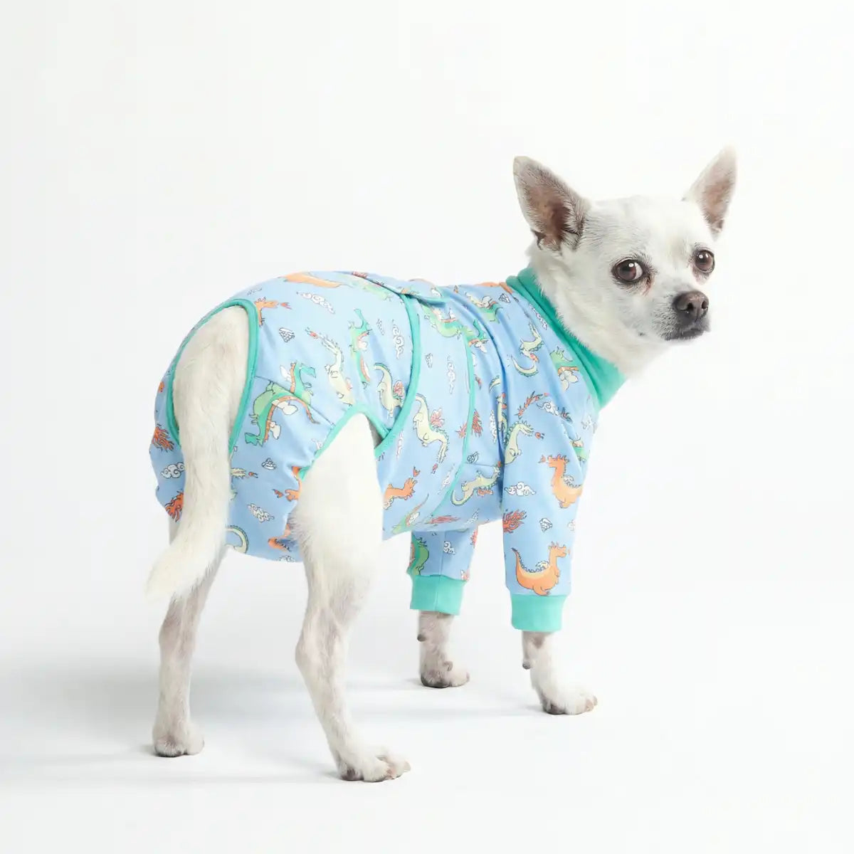 Dog Surgical Suit