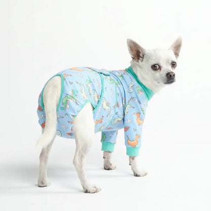 Dog Surgical Suit
