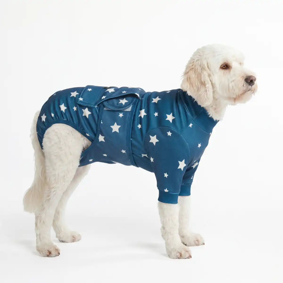 Dog Surgical Suit - Stars