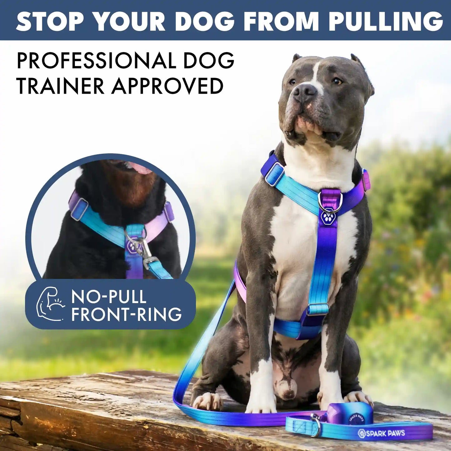 Comfort Control No-Pull Dog Harness Set - 90s Retro