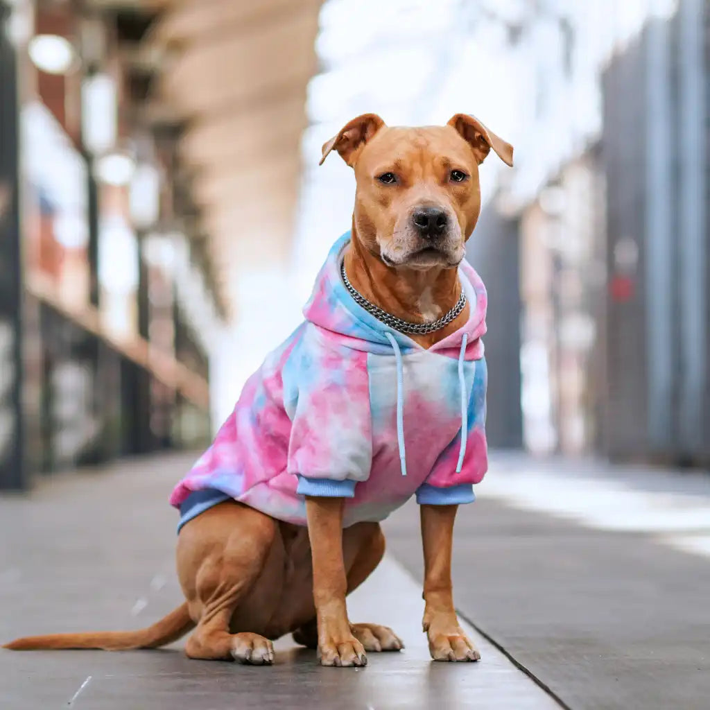Velvet Dog Hoodies