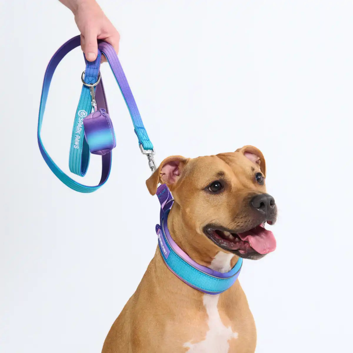 Cushioned Martingale Collars