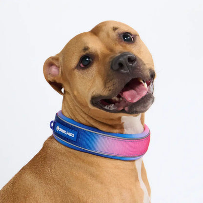 Cushioned Martingale Collars