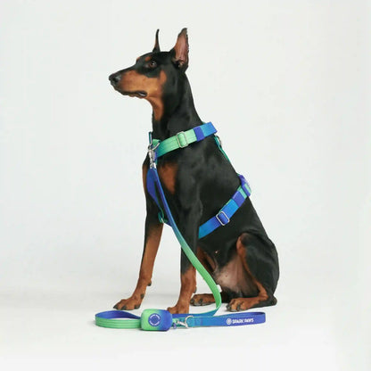Leash and Poop Bag Holder Set