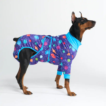 Dog Surgical Suit