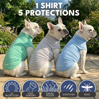 Sunblock T-Shirt 3 Pack