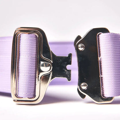 Comfort Control Dog Collars